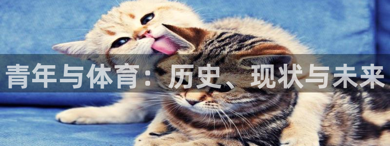 意昂4体育合法嘛