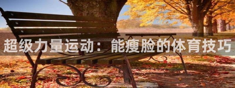 意昂4主管