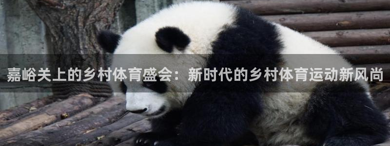 意昂4体育和杏耀是哪个公司的