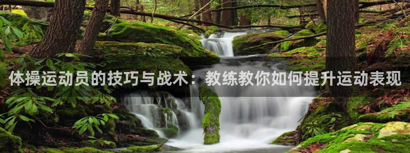 意昂4体育f开户