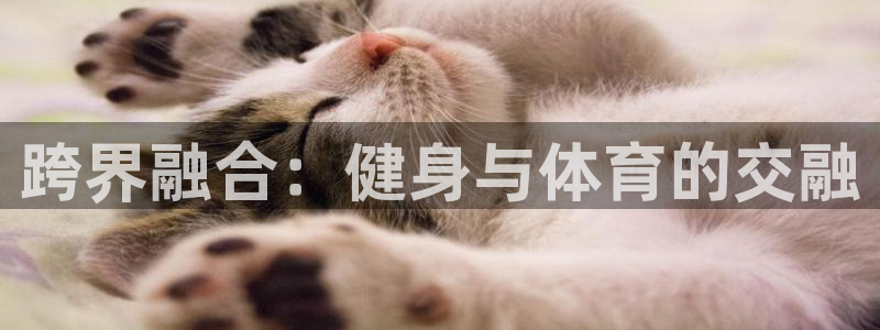 意昂4注册