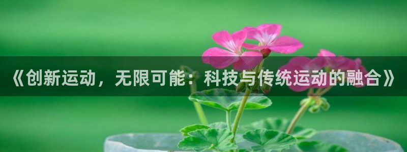 意昂4体育和杏耀是哪个公司的