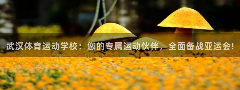 意昂4平台总代理