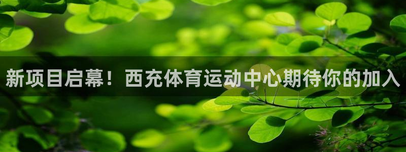 意昂4是大平台吗