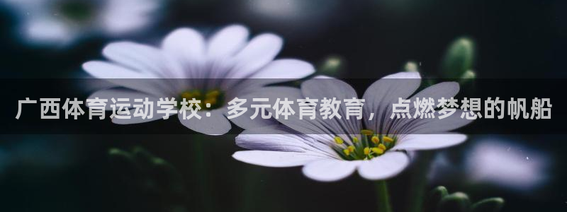 意昂4体育注册代理