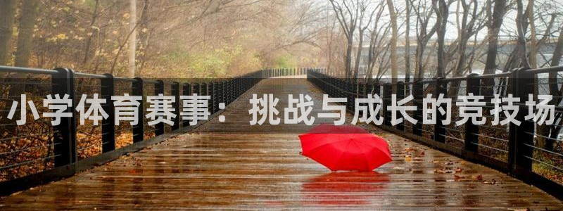 意昂4凯捷平台