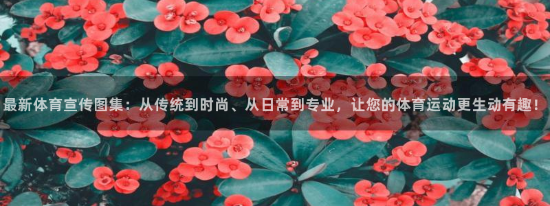 意昂4主管
