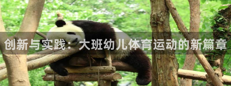 意昂4总代