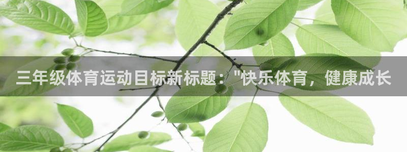 意昂4平台开户链接