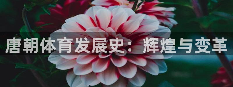 意昂4体育平台开号链接