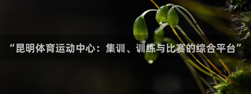 意昂4包怎么样