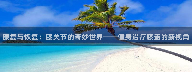 意昂4体育和杏耀是哪个公司的