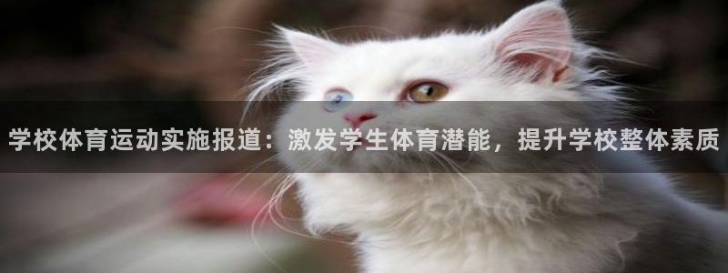 意昂4体育平台总代理