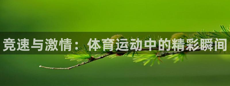 意昂4开户