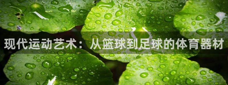 意昂4体育凯捷平台代理
