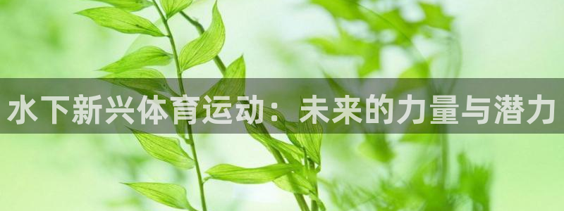 意昂4包怎么样