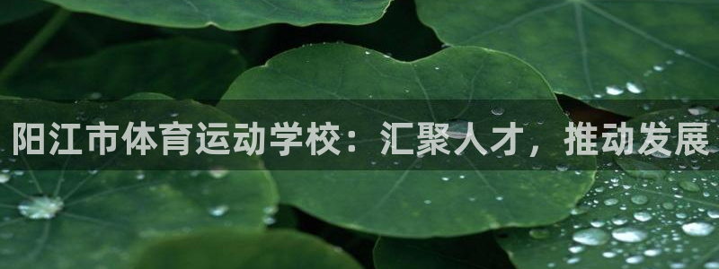 意昂4体育平台开户链接