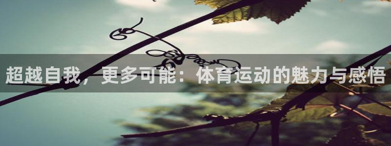 意昂4股份