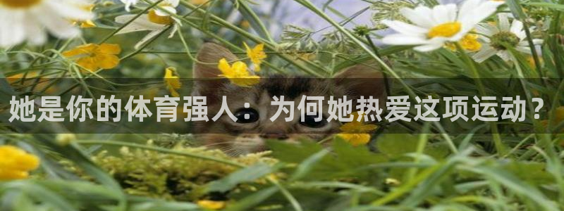 意昂44登录