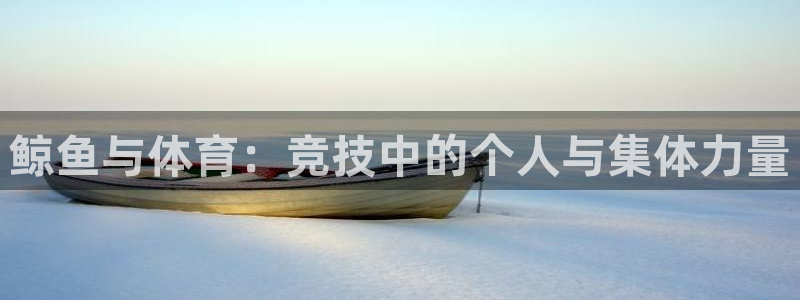 福建意昂4机电股份公司